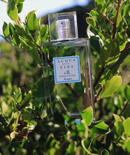 Acqua dell’Elba - Acqua Eau de Parfum - immagine 2